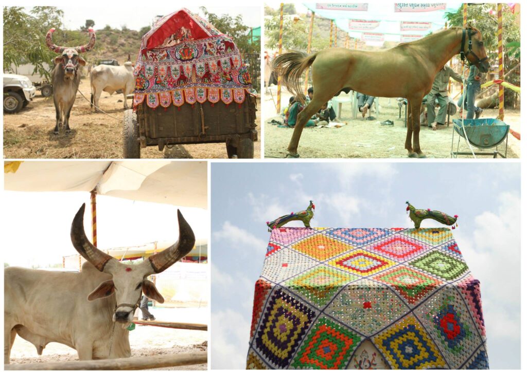 Main Attraction of Tarnaitar fair