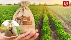 gauravshalibharat News