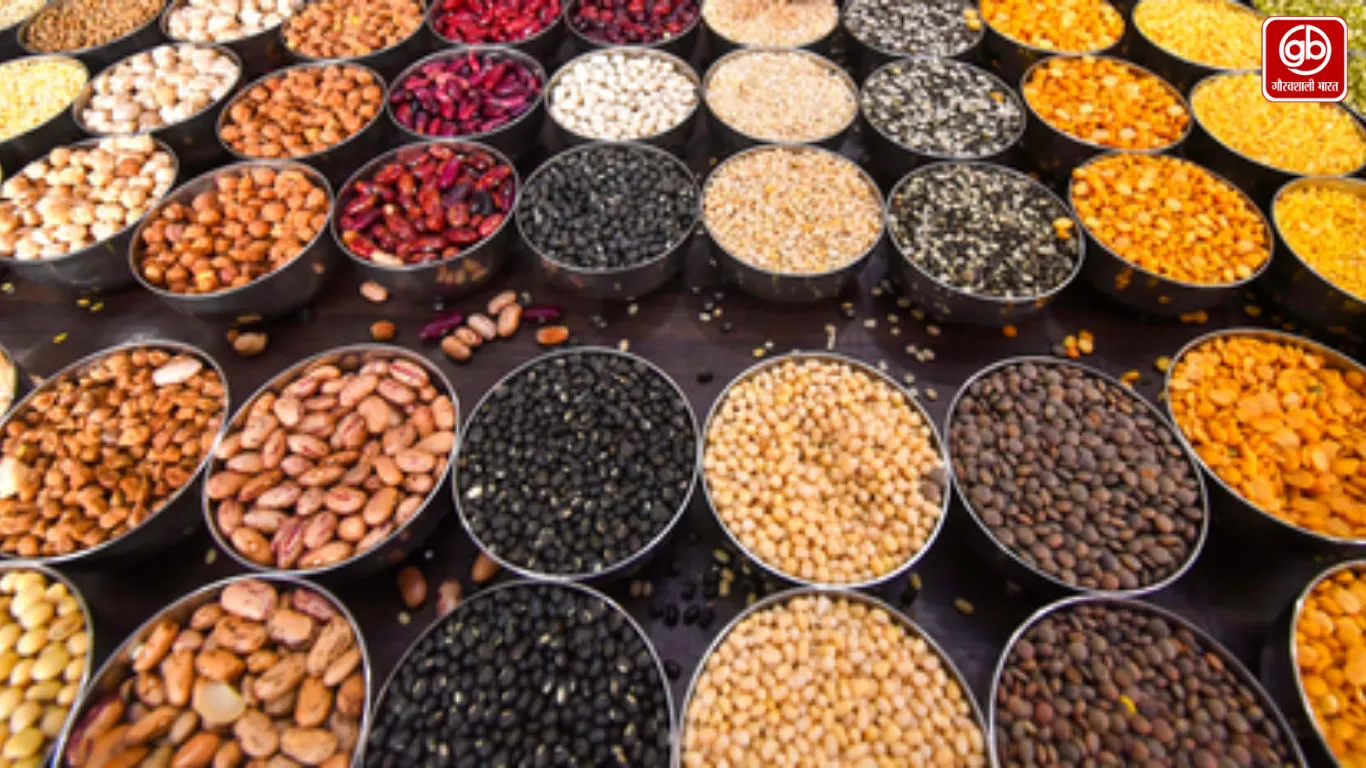 gauravshalibharat News