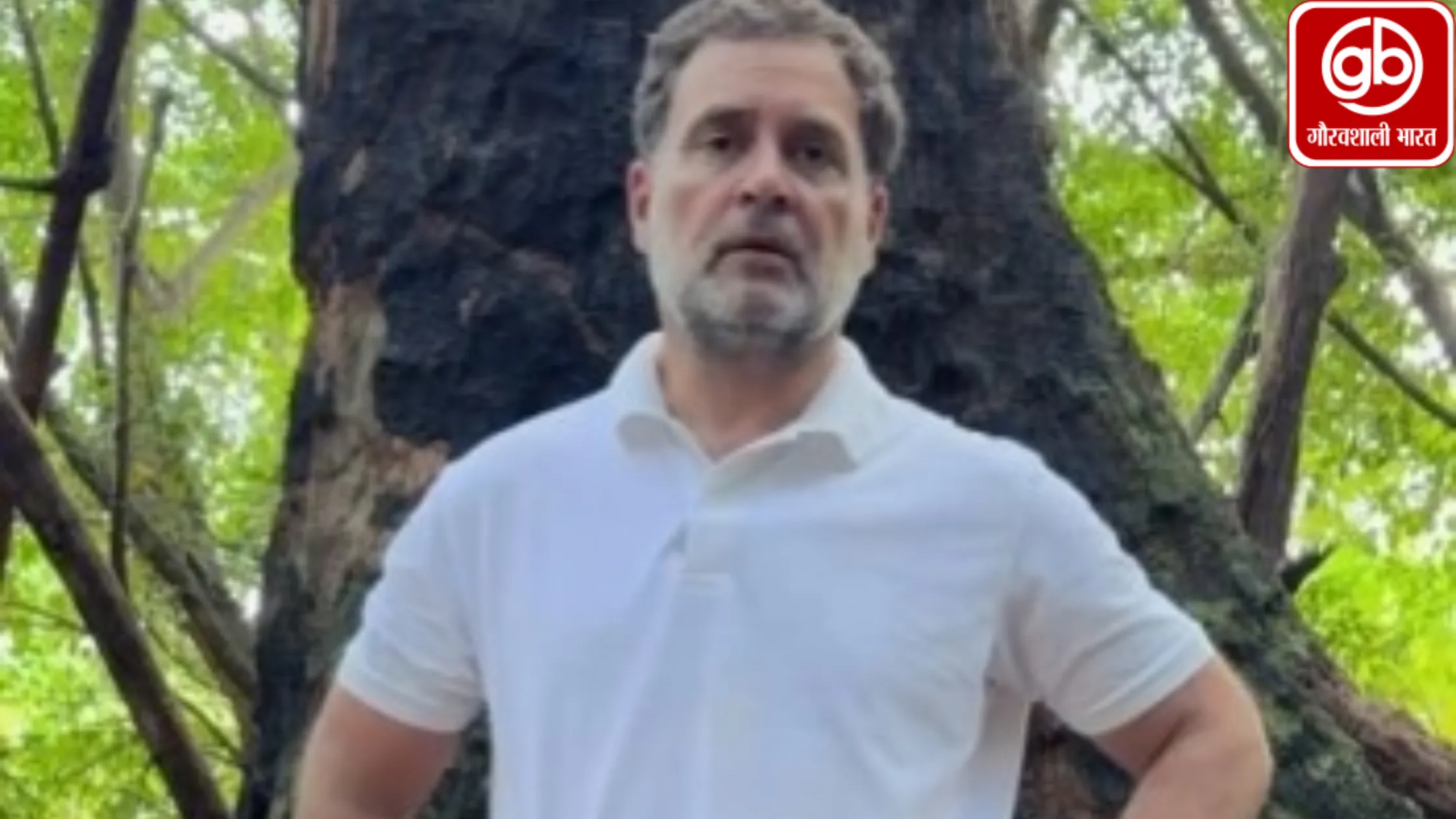 राहुल गांधी ने किया ग्रेट निकोबार द्वीप का दौरा, केंद्र की परियोजना पर बोले- ‘ये विकास नहीं, विनाश है’