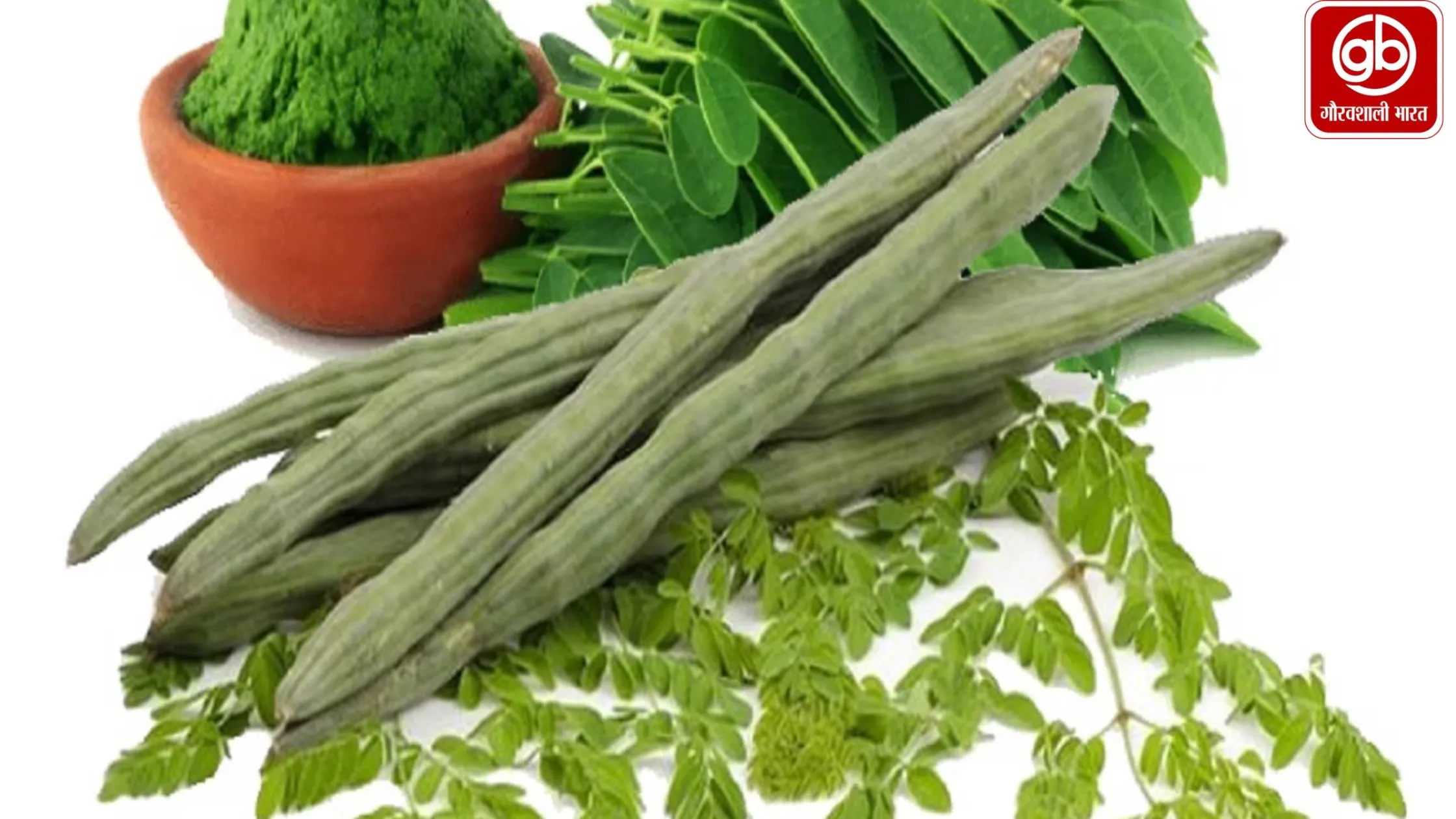 भगवंत विश्वविद्यालय, अजमेर के कंप्यूटर साइंस