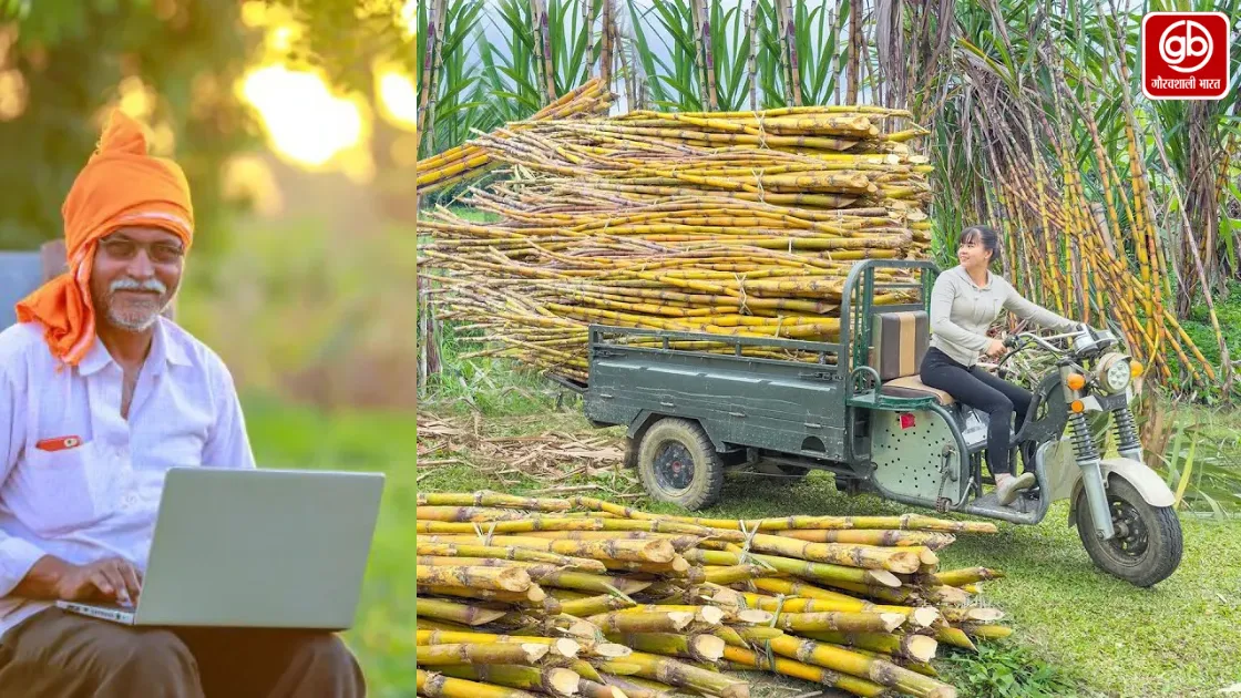 यूपी के गन्ना फसल का होगा जीपीएस सर्वे, 1 मई से 30 जून तक चलेगा  सर्वेक्षण