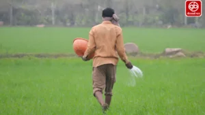 gauravshalibharat