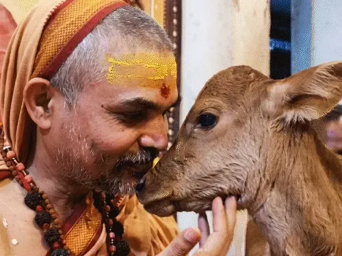 शंकराचार्य ने शुरू किया ‘गो-LX’ अभियान, बोले- गाय खरीदेंगे, बेचेंगे नहीं