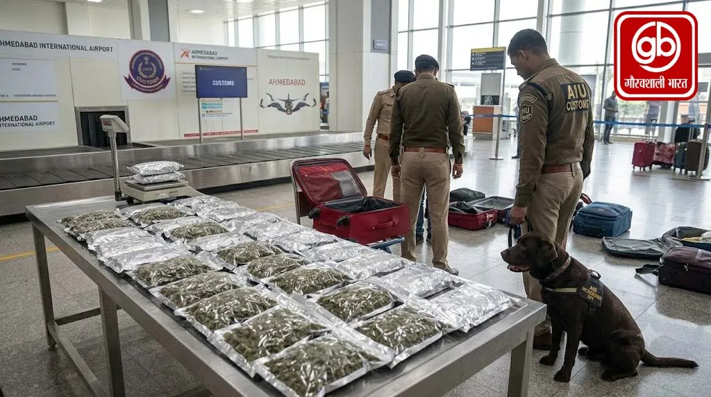 अहमदाबाद एयरपोर्ट पर ₹10 करोड़ का हाइड्रोपोनिक गांजा जब्त