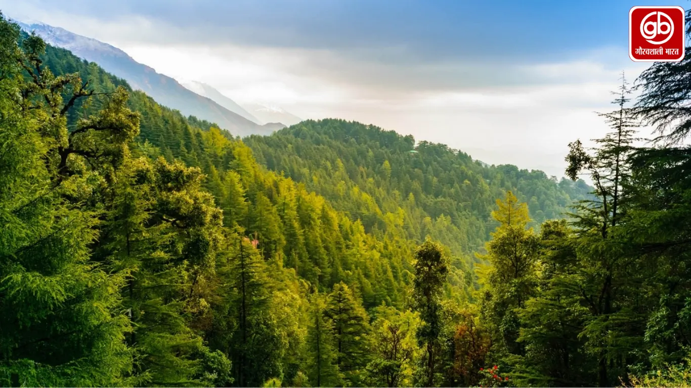 जंगलों से समृद्धि तक: AI तकनीक के सहारे हिमाचल गढ़ेगा ग्रीन इकॉनमी