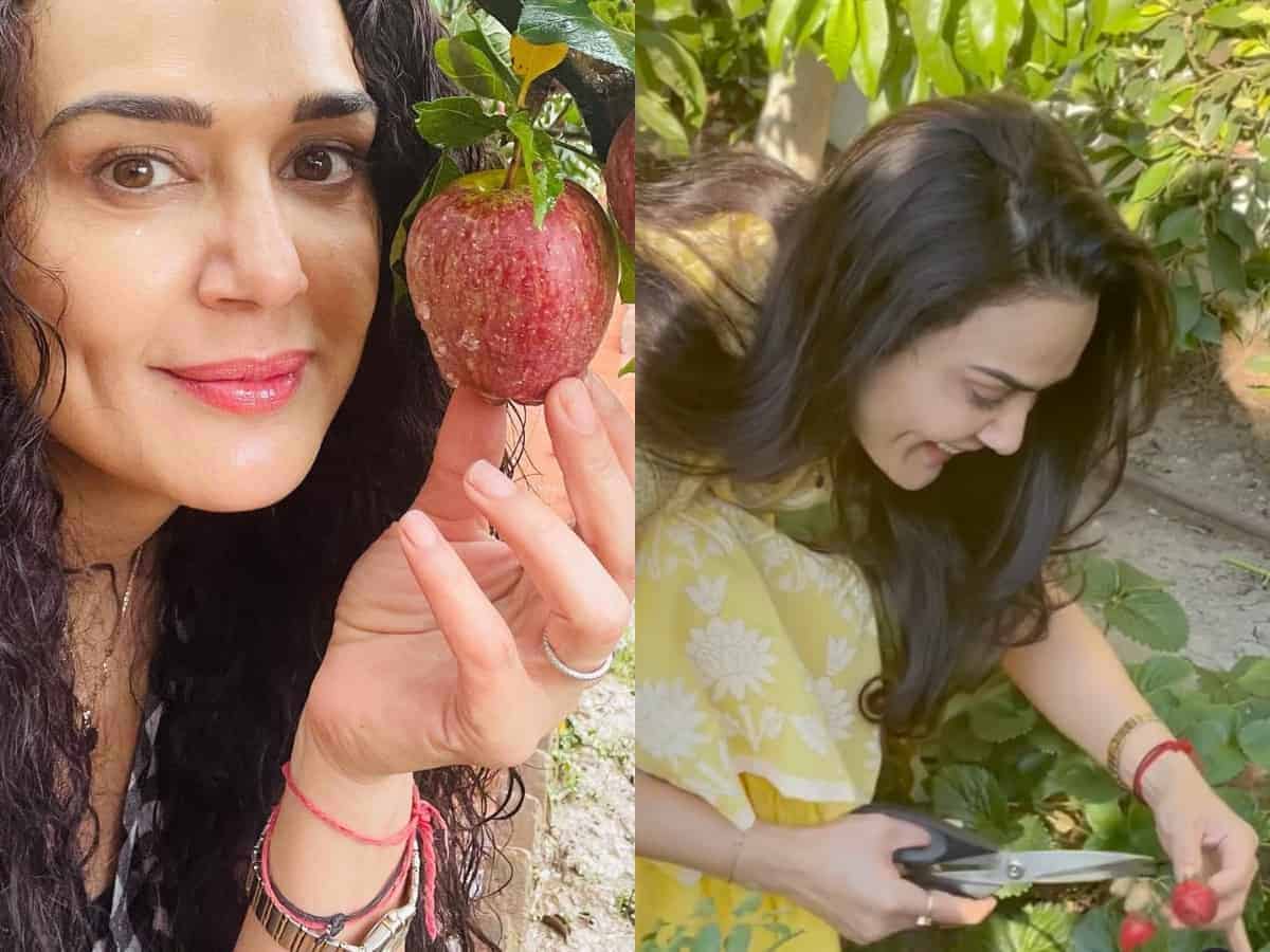 भारत छोड़ विदेश में बसा ली खेती, प्रीति जिंटा का नया अंदाज वायरल