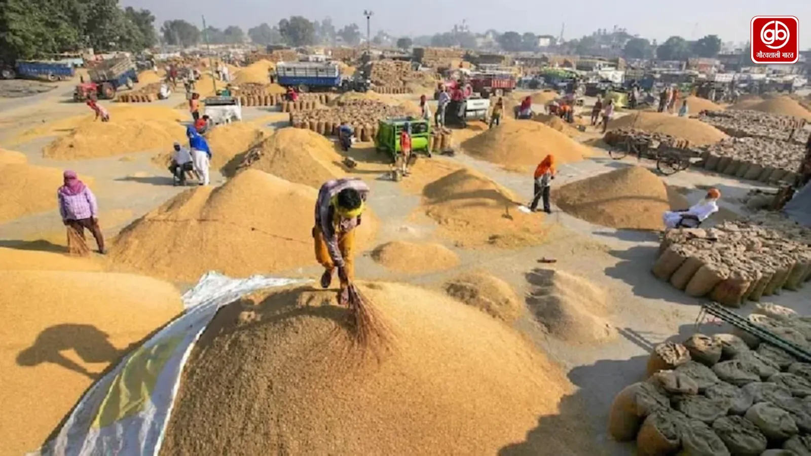 छत्तीसगढ़ में धान खरीदी से पहले किसानों को बड़ी राहत, पंजीयन नियम बदला