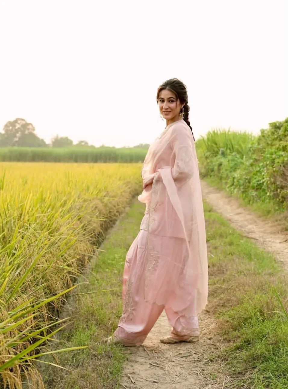 चंडीगढ़ के खेतों में सारा का